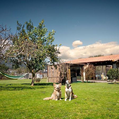 Villa Casa Barros Tui Exterior foto